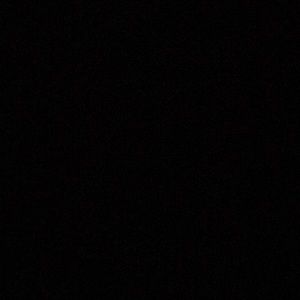 Meet your Posher, Shelby